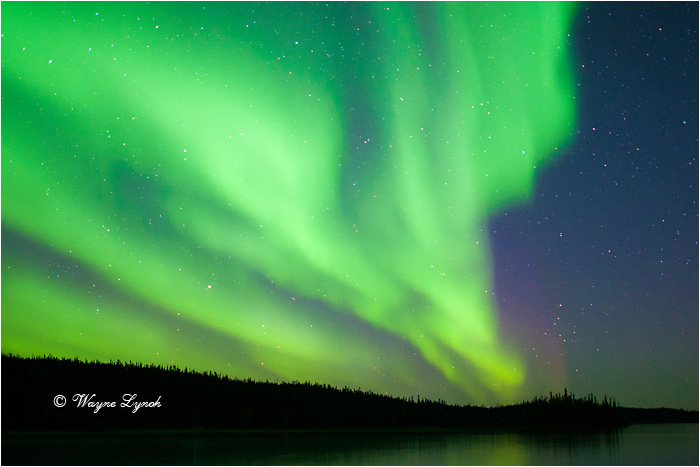 Aurora Borealis 131 by Dr. Wayne Lynch ©